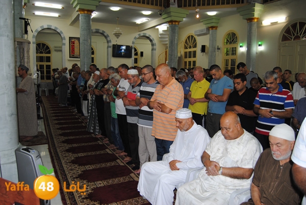 3akila jame3 803 (5).JPG